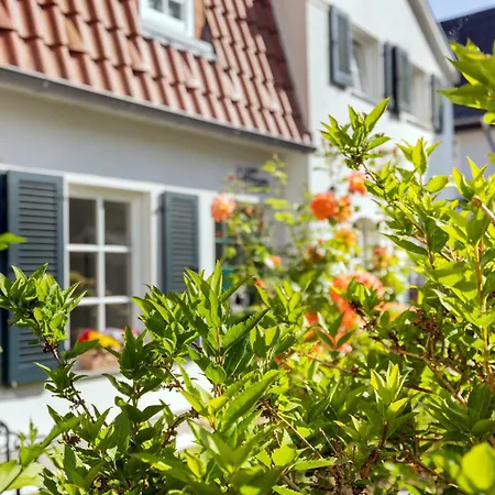 度假居 Haus Mit 110qm Und Garten 150m Zum Wasser 施特拉尔松德